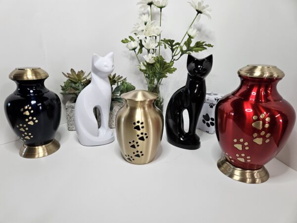 Pet Ashes and Urns