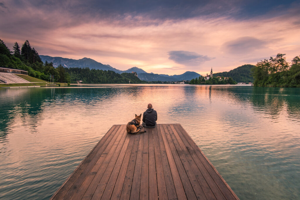 Man and dog sitting on wooden deck at Bled lake, Slovenia watching sunrise