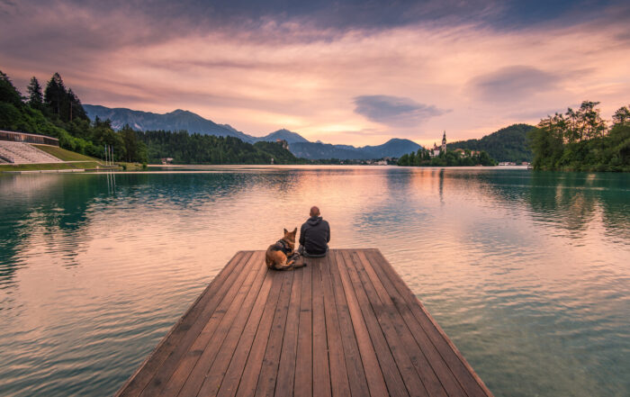 Man and dog sitting on wooden deck at Bled lake, Slovenia watching sunrise