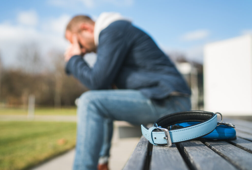 Broken with grief man dog owner is grieving sitting on a bench with the lovely pet collar and deep weeping about animal loss.