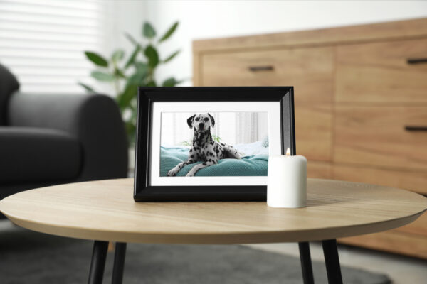 Frame with picture of dog and burning candle on wooden table indoors. Pet funeral