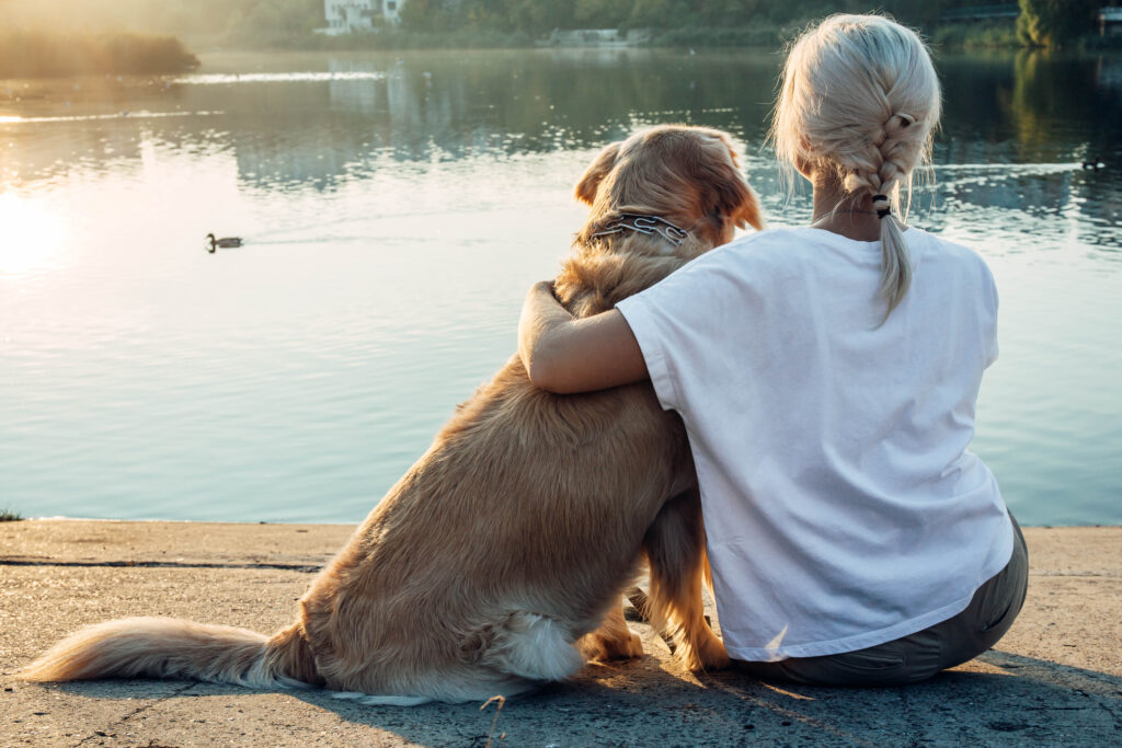 Girl with a golden retriever in the park. golden autumn foliage, , dog in the forest. Leaves are orange. Playful animal. Beautiful girl. Blonde.