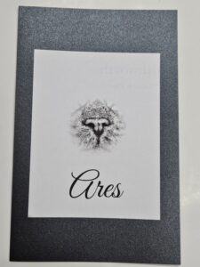 Realisitic live ink nose print of a cat for Springfield MO family by Tranquil Tides Pet Aquamation.