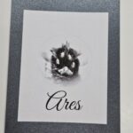 High-detail realistic pet paw print as a keepsake for Springfield Mo family.