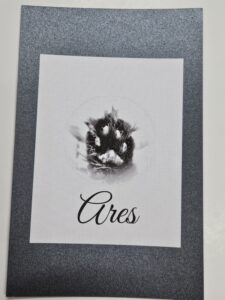 High-detail realistic pet paw print as a keepsake for Springfield Mo family.