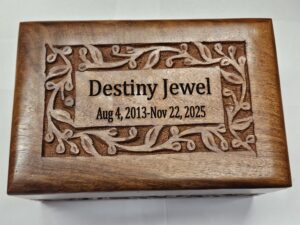 Polished sheesham rosewood pet urn with custom engraving for pet aquamation.