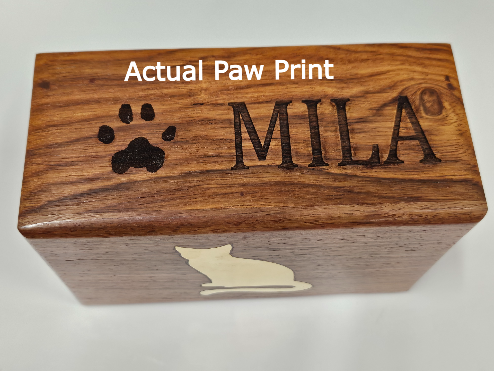 Actual cat paw print reproduction engraved directly into the brass cat silhouette rosewood urn at Tranquil Tides.