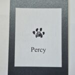 Regular ink cat paw print impression prepared for individual water cremation memorial.