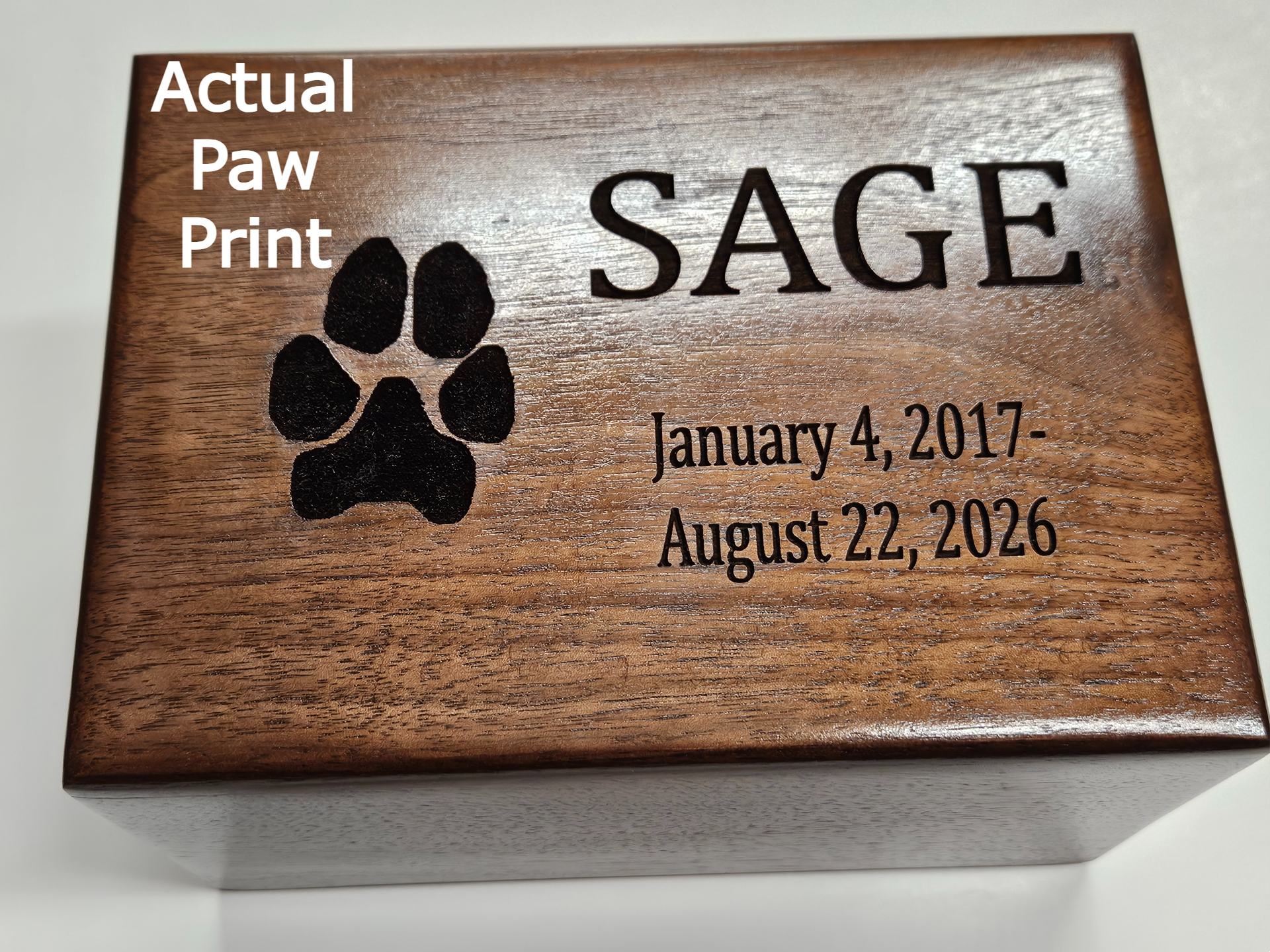Custom pet memorial acacia urn with engraved actual paw print for families seeking eco-friendly cremation.