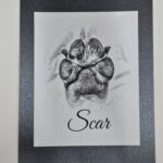 Authentic realistic live paw print impression card for Springfield and Branson pet parents.