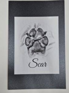 Authentic realistic live paw print impression prepared for family at Tranquil Tides in Nixa MO
