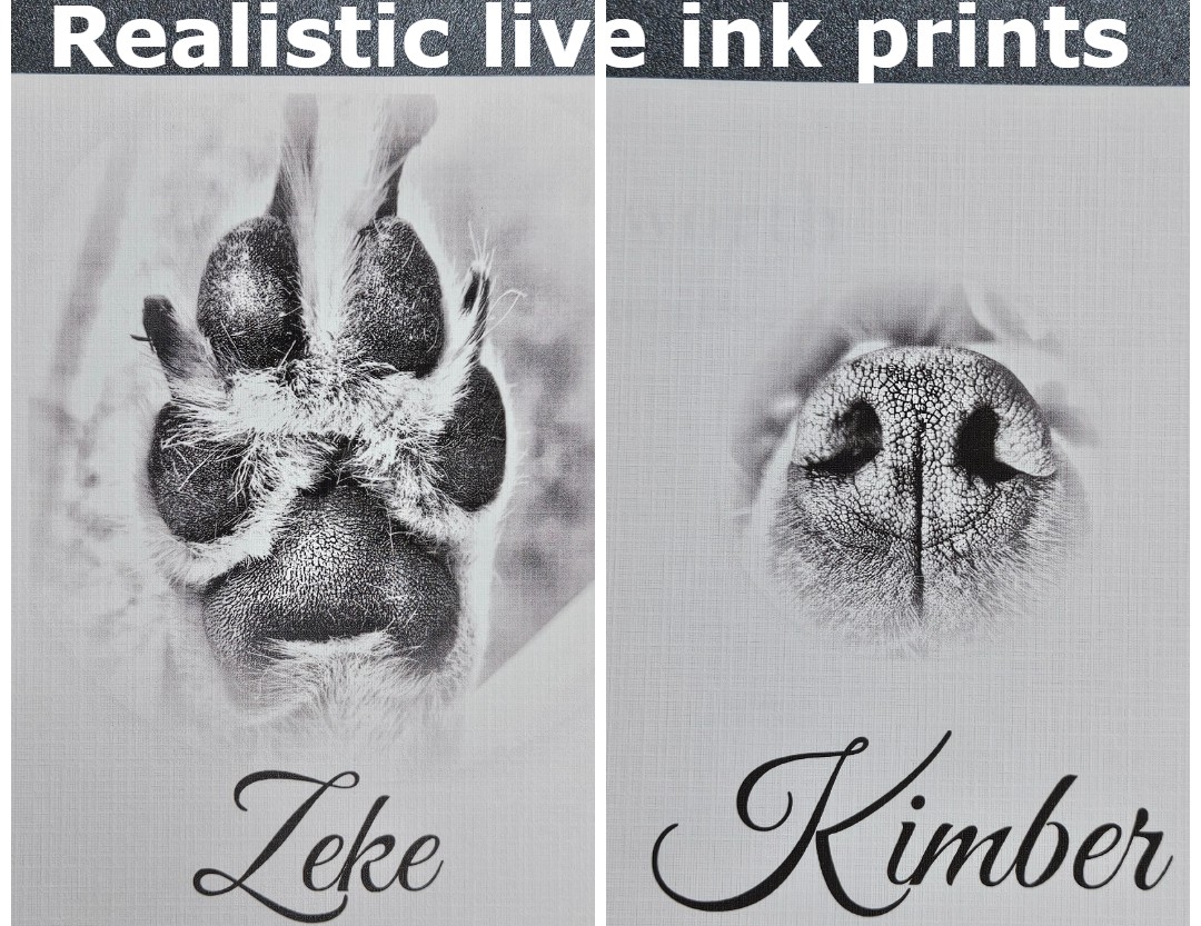 Side-by-side display of realistic live ink paw and nose print and personalized memorial card at Tranquil Tides.